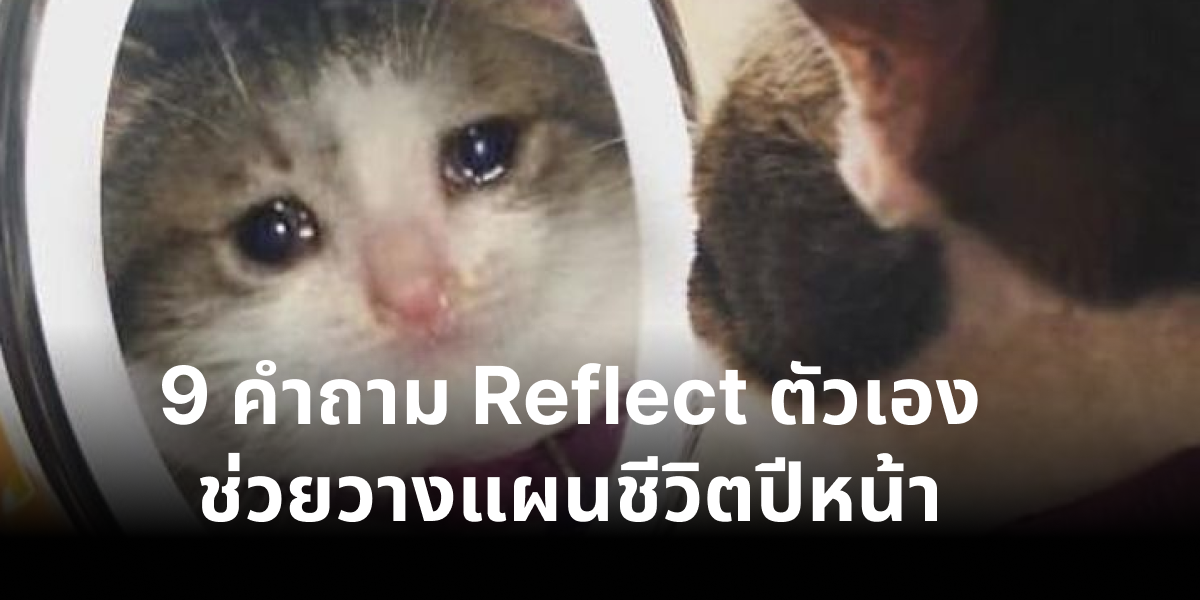 จะหมดปีแล้วมาทำ Self Reflection ประจำปีกันดีกว่า!